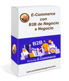 Curso Práctico E-Commerce B2B