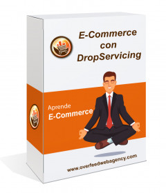 Curso Práctico E-Commerce DropServicing