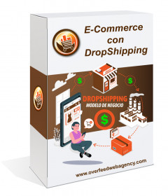 Curso Práctico DropShipping E-Commerce